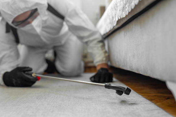 Professional Cockroach Control technician working in Strum, WI