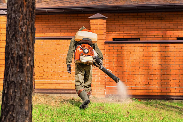 Trusted Ant Control service in Strum, WI - Nex Pest Control